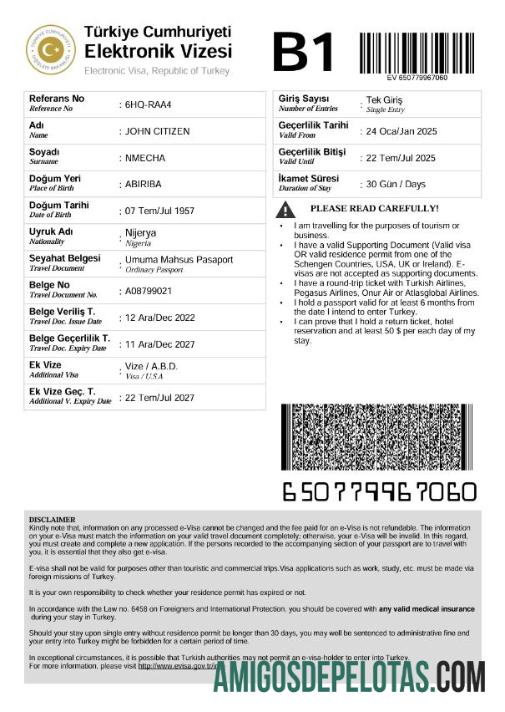 realista Modelo de visto E da Turquia em formatos Word e PDF